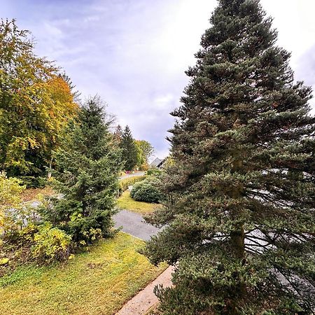 Pension Zum Loewen, Parkplatz, Fruehstueck, Wlan, Zentral Бад-Штебен Экстерьер фото